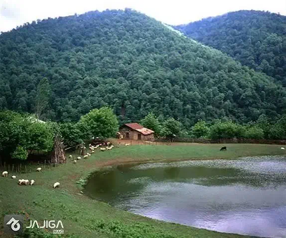 تور یک روزه فرداجمعه 14 آذر|تور و چارتر|رشت, لاکان شهر|دیوار