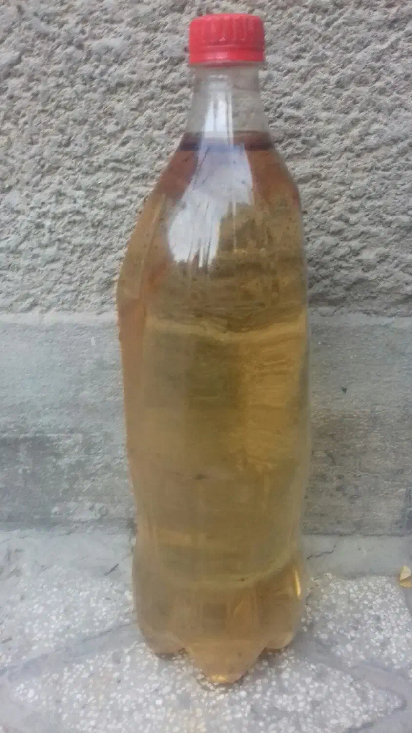 جوهر نمک وایتکس|مواد شوینده و دستمال کاغذی|مشهد, طلاب|دیوار