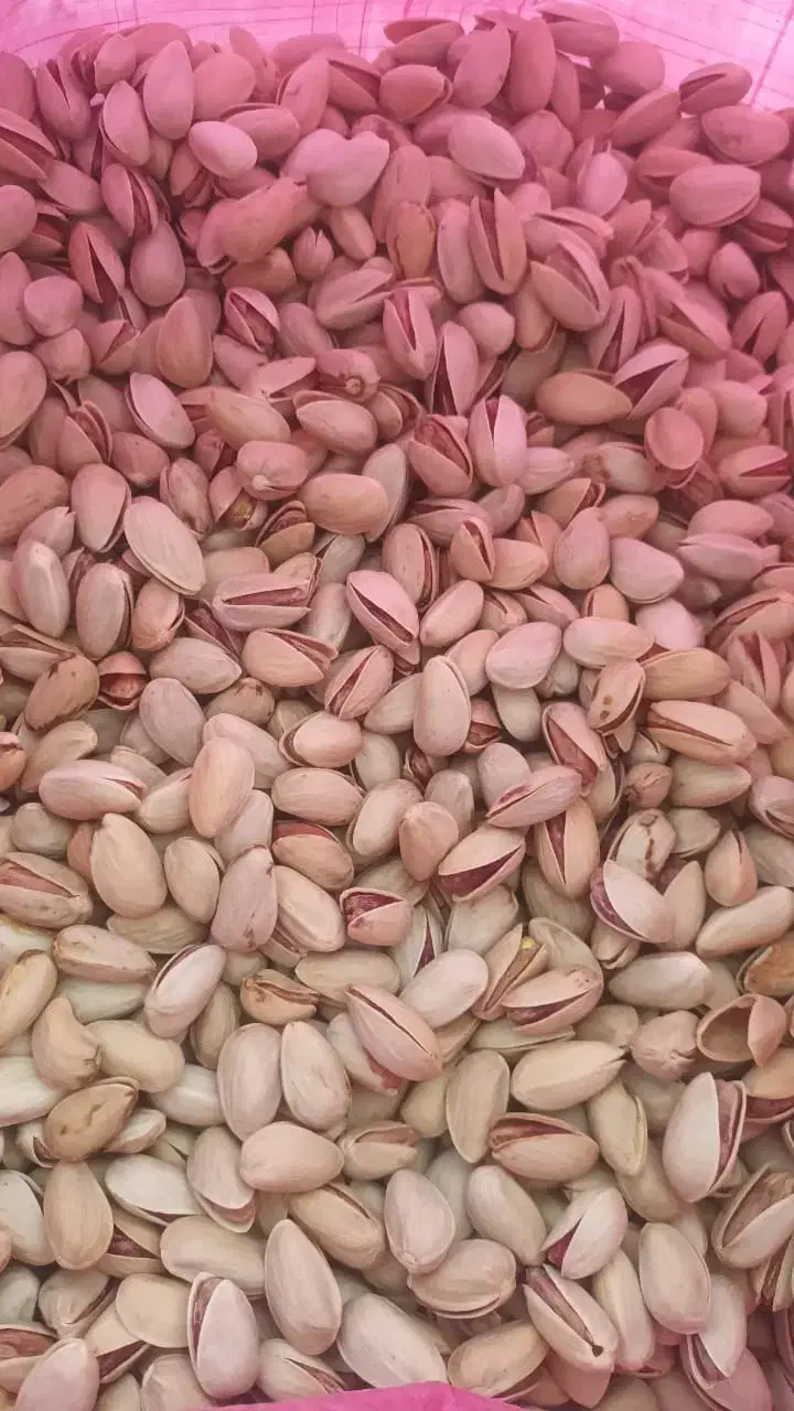 پسته|خوردنی و آشامیدنی|شیراز, شریف‌آباد|دیوار