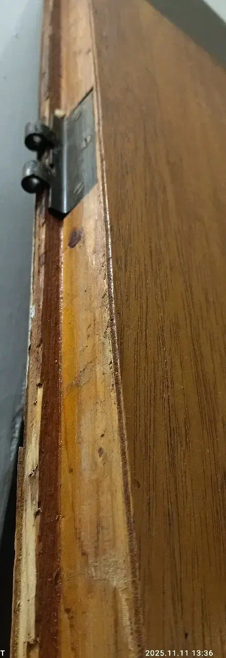 درب چوبی|مصالح و تجهیزات ساختمان|بندر انزلی, ساحل قو|دیوار