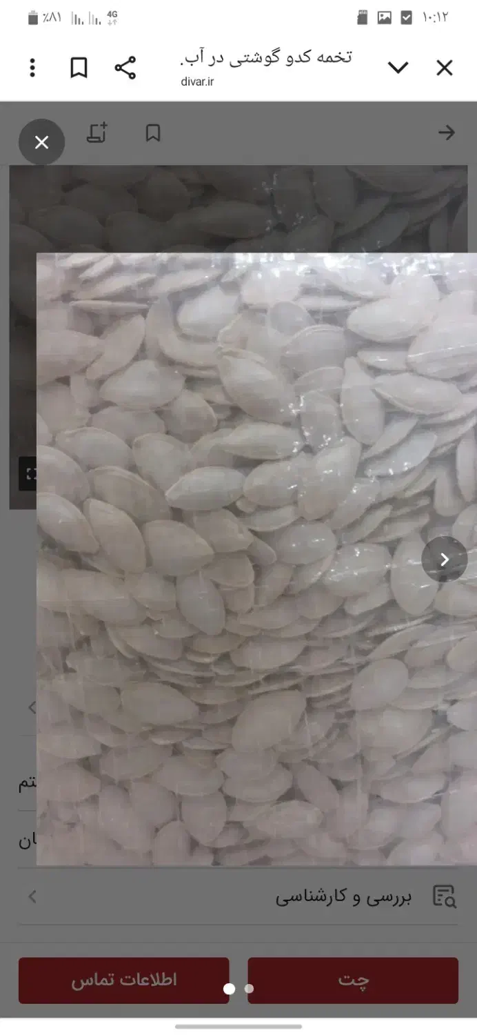 کدو|عمدهفروشی|آباده, |دیوار