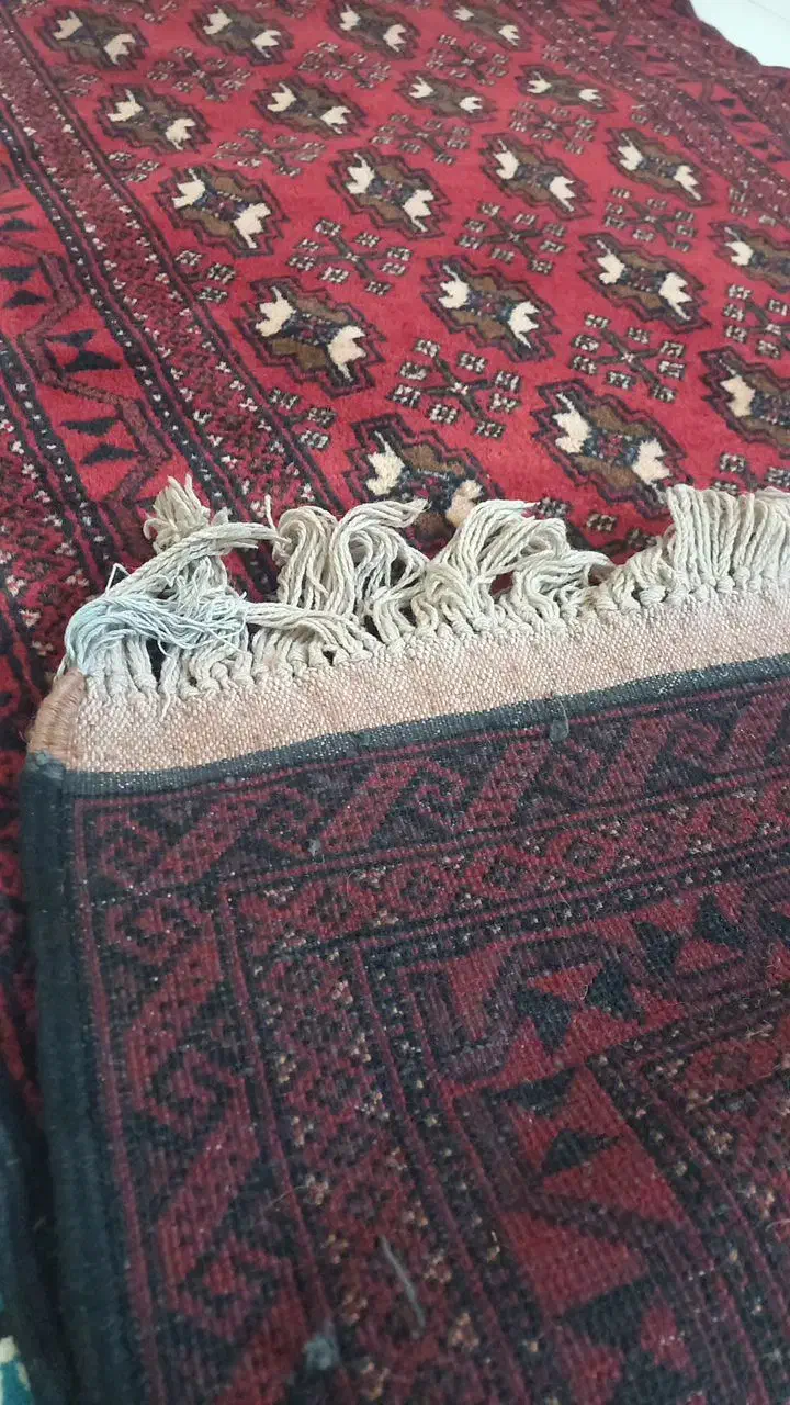 قالیچه دستباف|گلیم، جاجیم، گبه|مشهد, شهرک بهارستان|دیوار