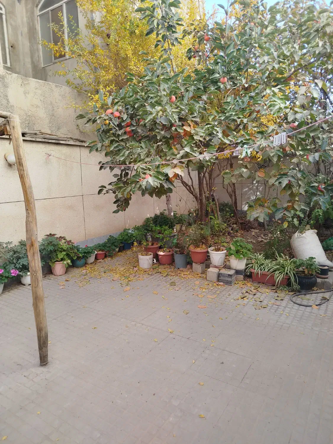 102 متر تربیت 26.. ویلایی|فروش خانه و ویلا|کرج, شهرک امام رضا (ع)|دیوار