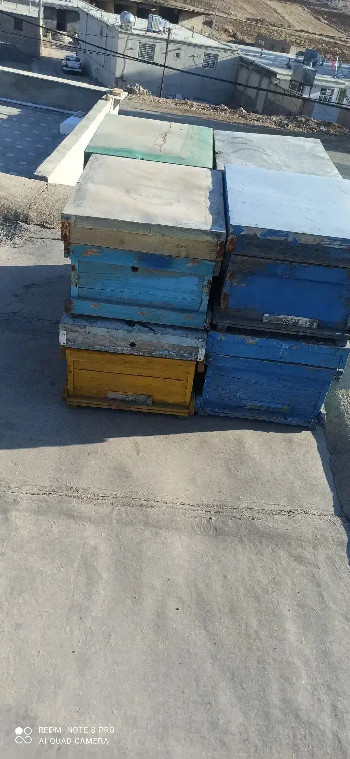 نه عدد کندو|حیوانات مزرعه|کارزان, |دیوار