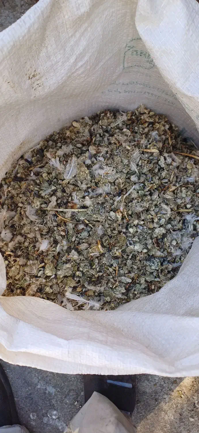 کود کبوتر (زیل)|لوازم جانبی حیوانات|تبریز, |دیوار