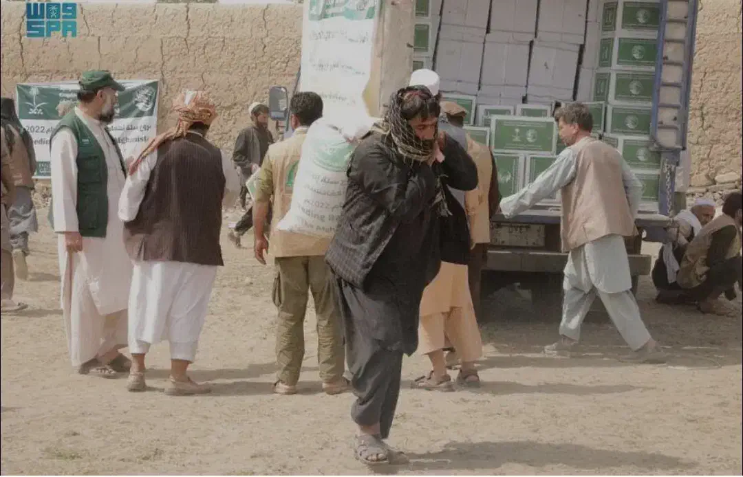 ترخیص کالا از مرز تمرچین|خدمات حمل و نقل|پیرانشهر, |دیوار