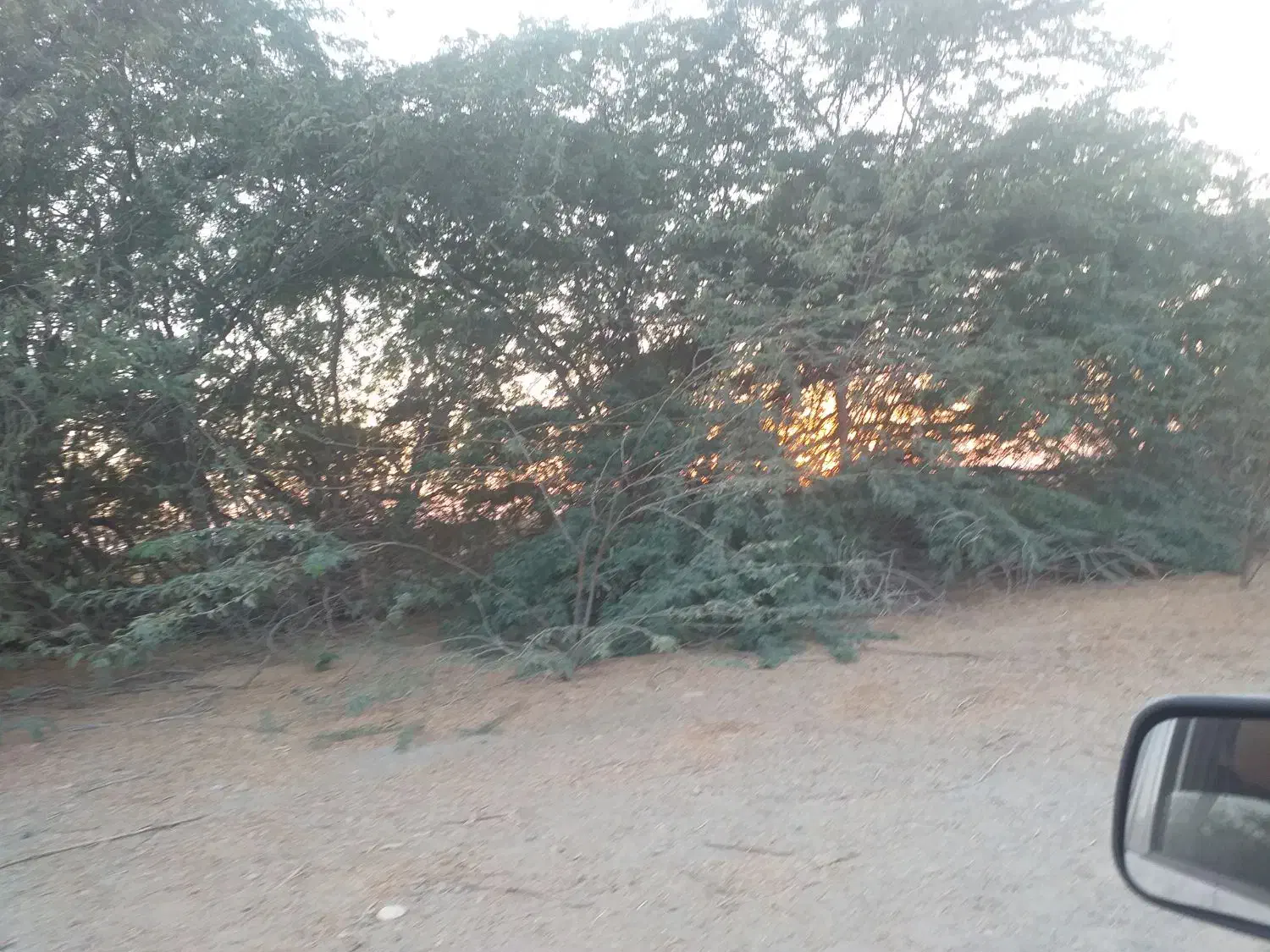 کارگر چوب بر نیازمندم|استخدام صنعتی، فنی، مهندسی|جاسک, |دیوار