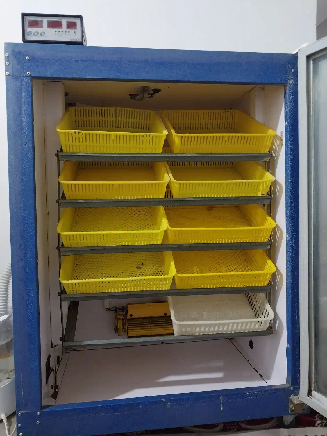 دستگاه جوجه کشی|لوازم جانبی حیوانات|آق قلا, |دیوار