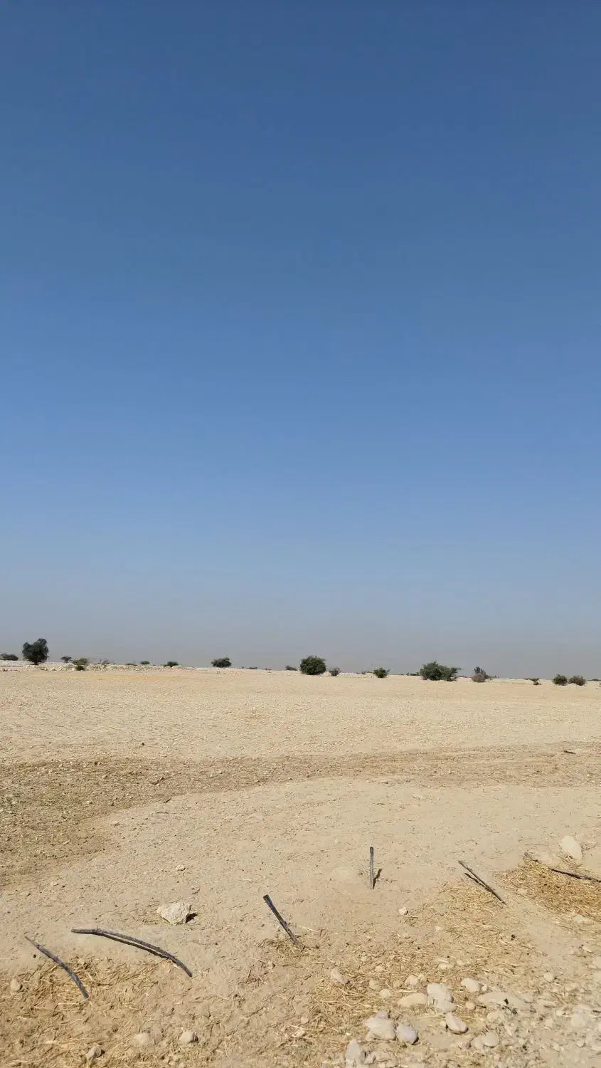 اجاره زمین کشاورزی|اجارهٔ دفتر صنعتی، کشاورزی، تجاری|برازجان, |دیوار