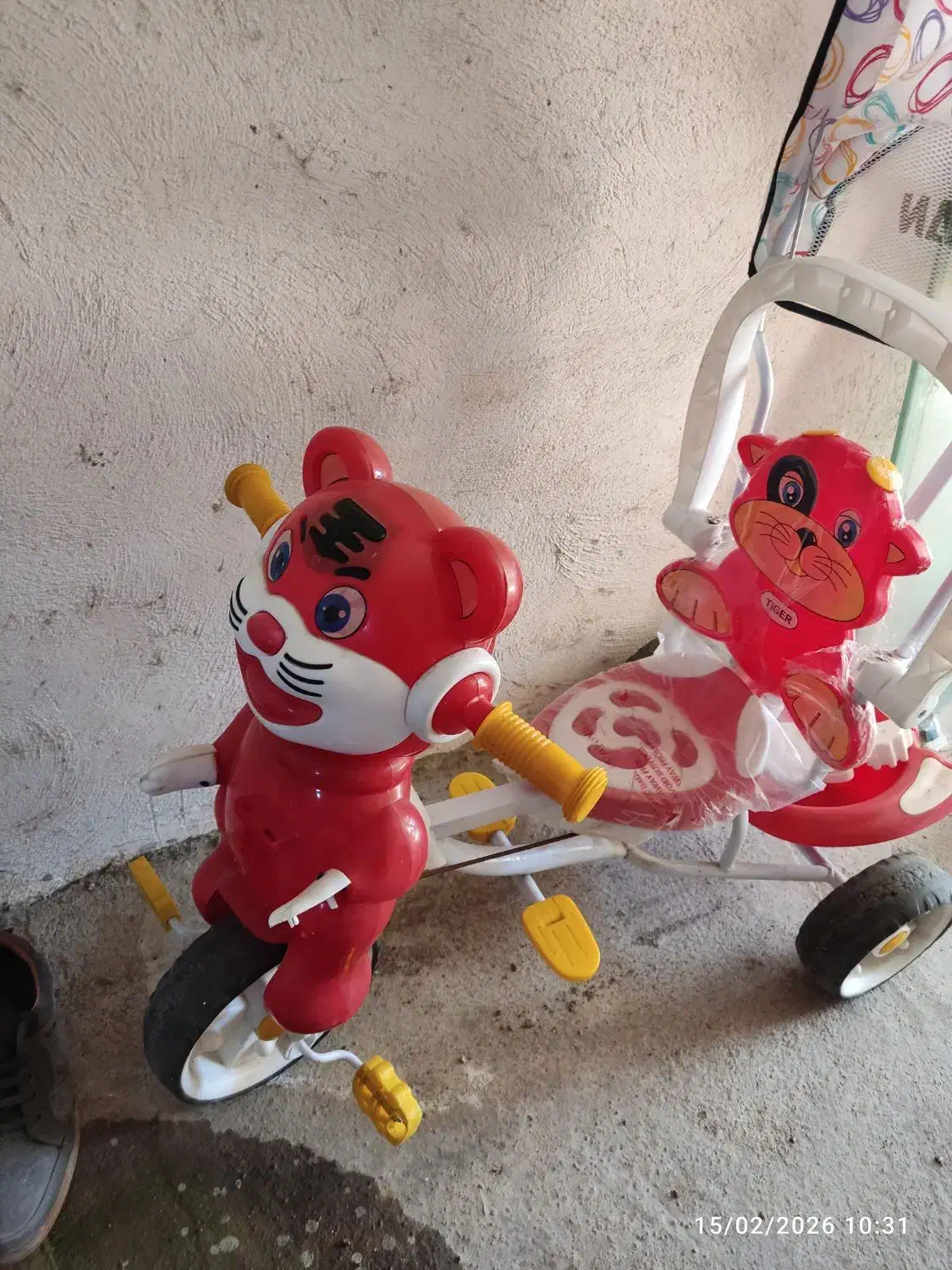 سه چرخه|دوچرخه، اسکیت، اسکوتر|رشت, سیا اسطلخ|دیوار