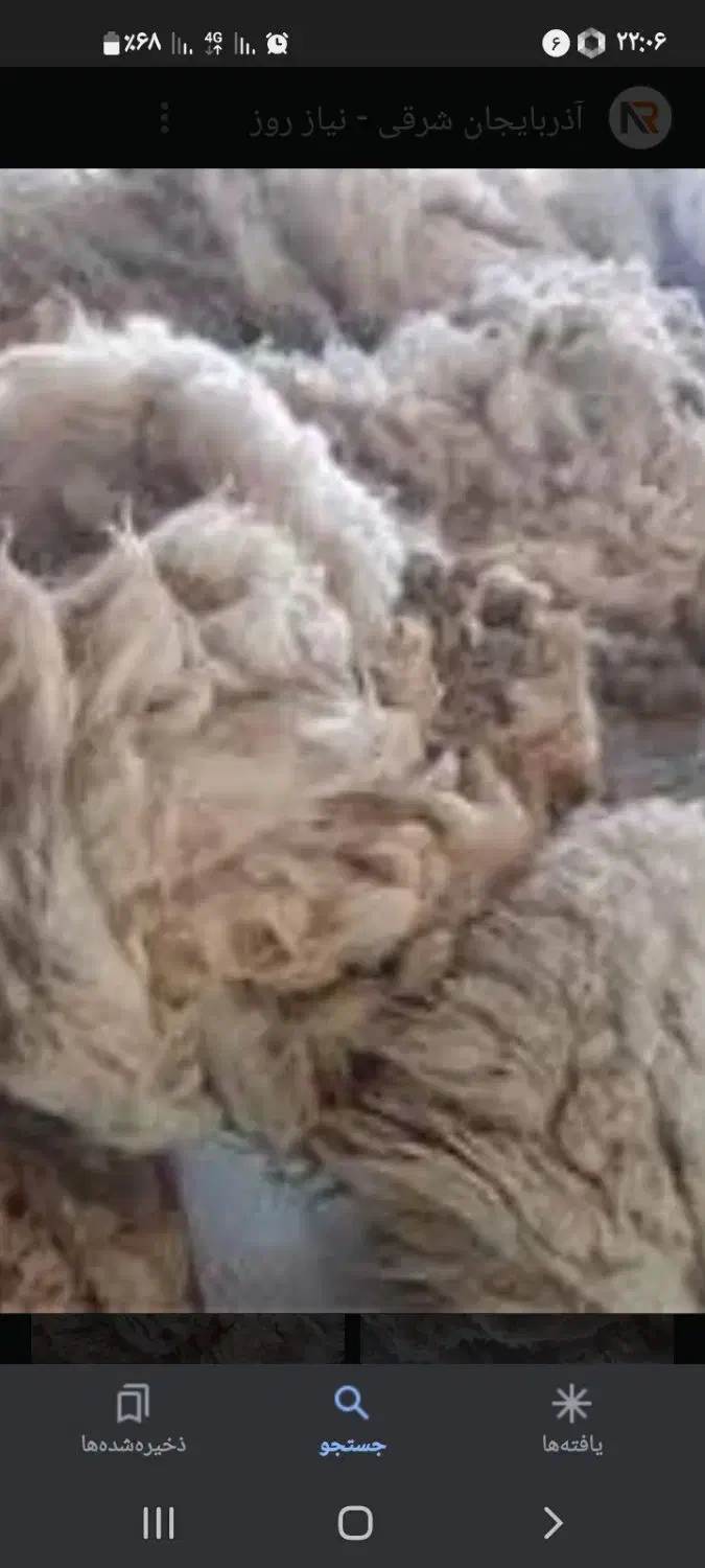 پشم گوسفندی رایگان|رختخواب، بالش، پتو|قیدار, |دیوار