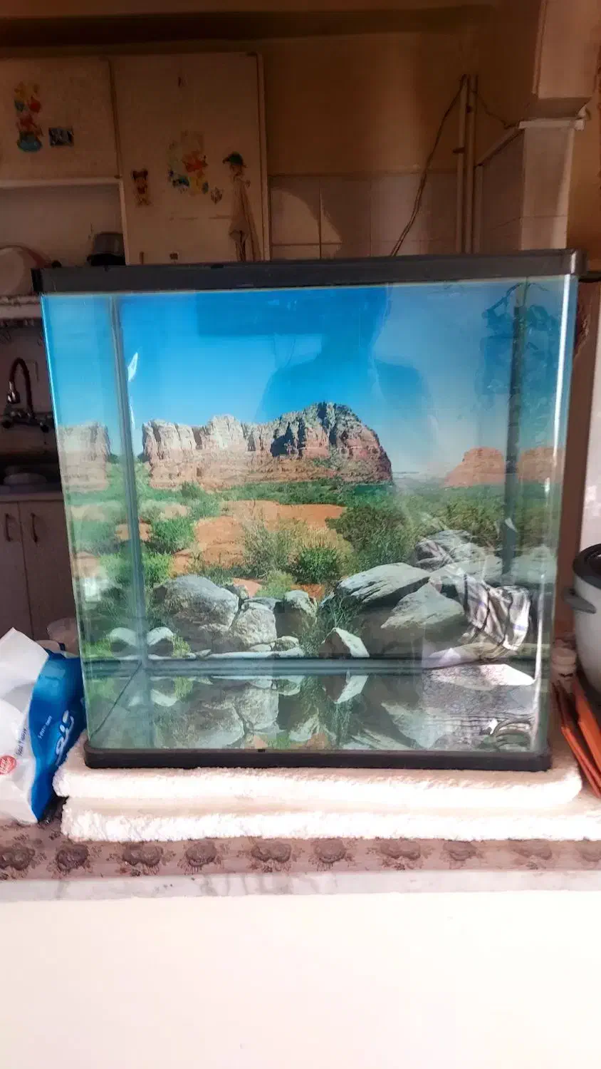 آکواریوم و پمپ هوا  وبخاری|ماهی|زاهدان, |دیوار