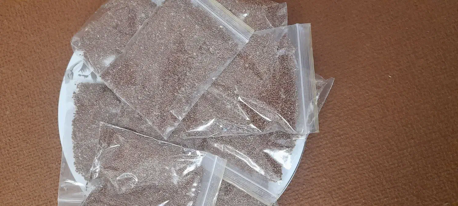 دانه ی کیوی خیاری اصل تضمینی فروشی|حراج|تالش, هشتپر|دیوار