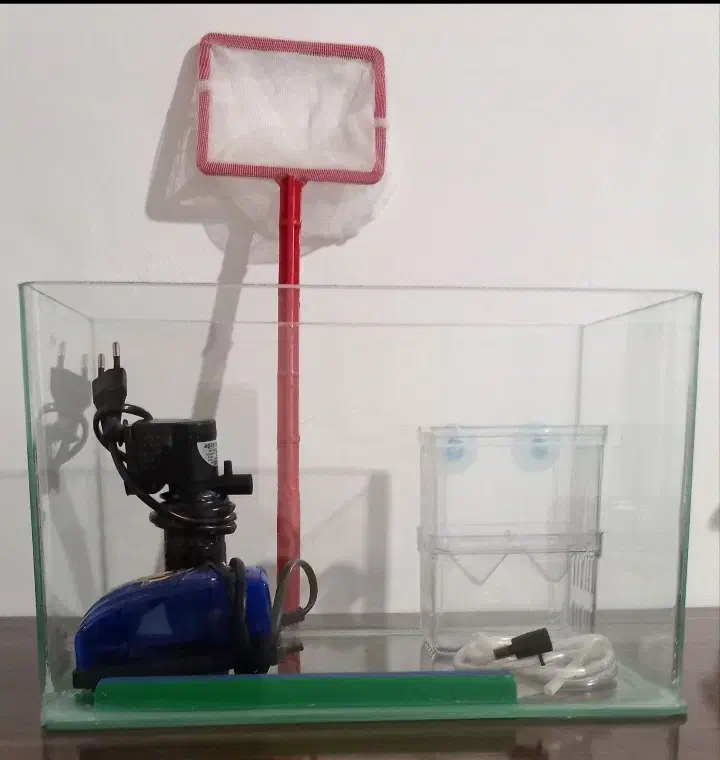 آکواریوم|ماهی|بجنورد, |دیوار