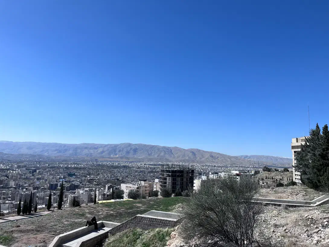 206 sd V8|خودرو سواری و وانت|رفسنجان, |دیوار