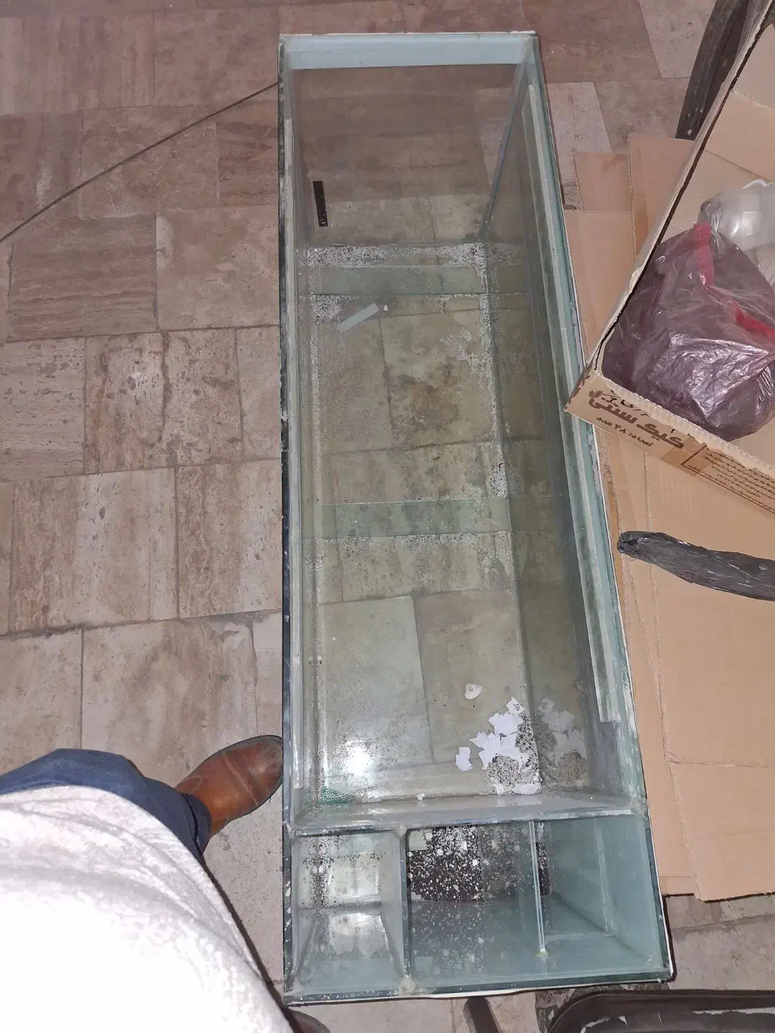 اکواریوم|ماهی|قم, انسجام|دیوار