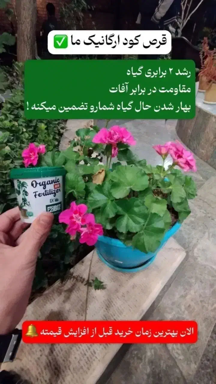 قرص کودگیاهی|گل و گیاه طبیعی|قائمشهر, |دیوار