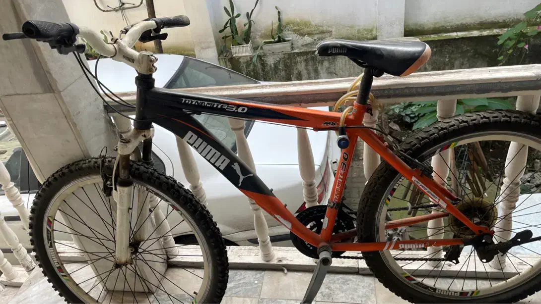 دوچرخه حرفه ای|دوچرخه، اسکیت، اسکوتر|رشت, یخسازی|دیوار