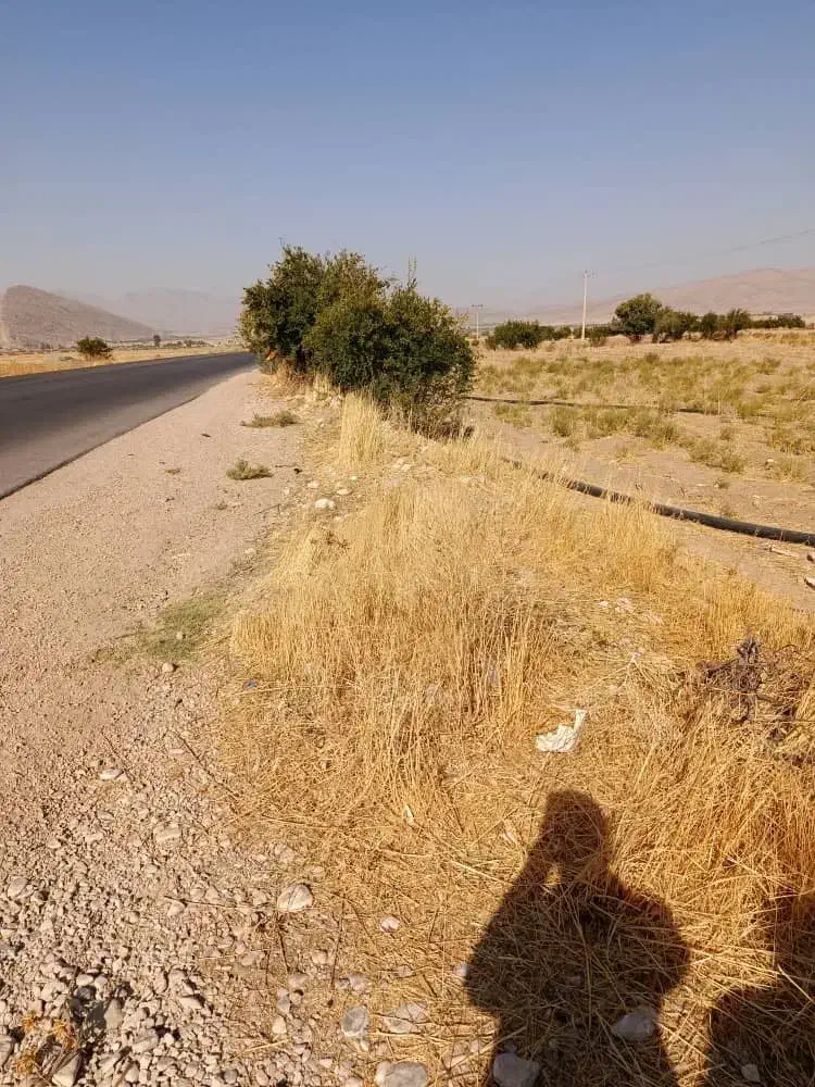 فروش باغچه تفریحی|فروش زمین و ملک کلنگی|میمند, |دیوار