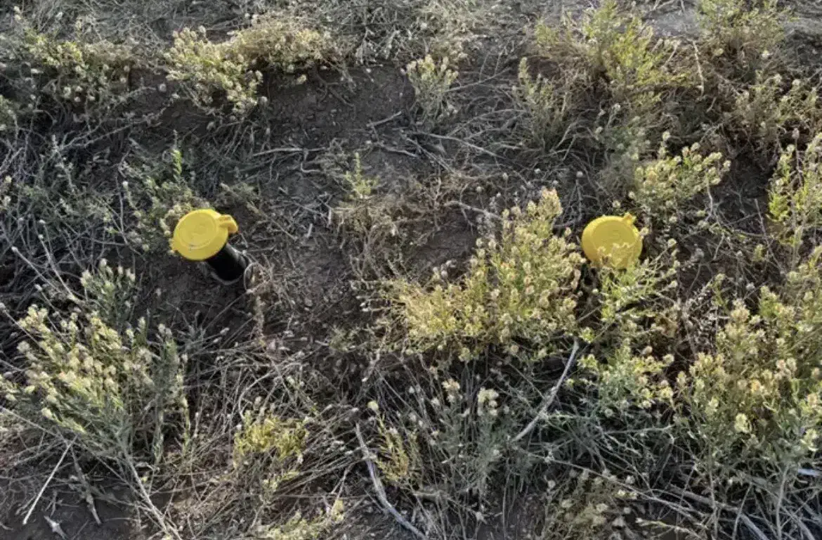 زمین برای کشاورزی احداث باغ،گلخانه|فروش زمین و ملک کلنگی|زنجان, |دیوار