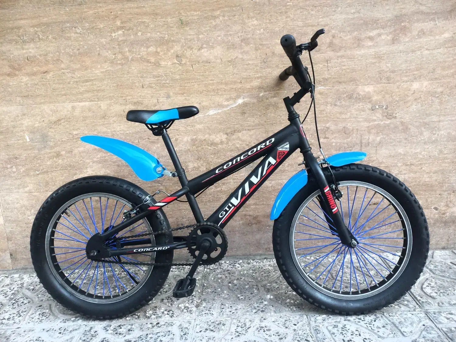 دوچرخه ویوا لاستیک پهن ساحلی سایز۲۰|دوچرخه، اسکیت، اسکوتر|مشهد, شفا|دیوار