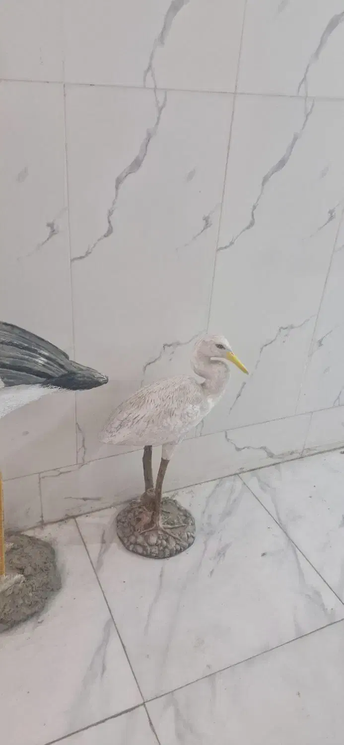 فلامینگو اردک ۲۵۰۰تومن جفت|مجسمه، تندیس، ماکت|قدس, شهر‌قدس|دیوار