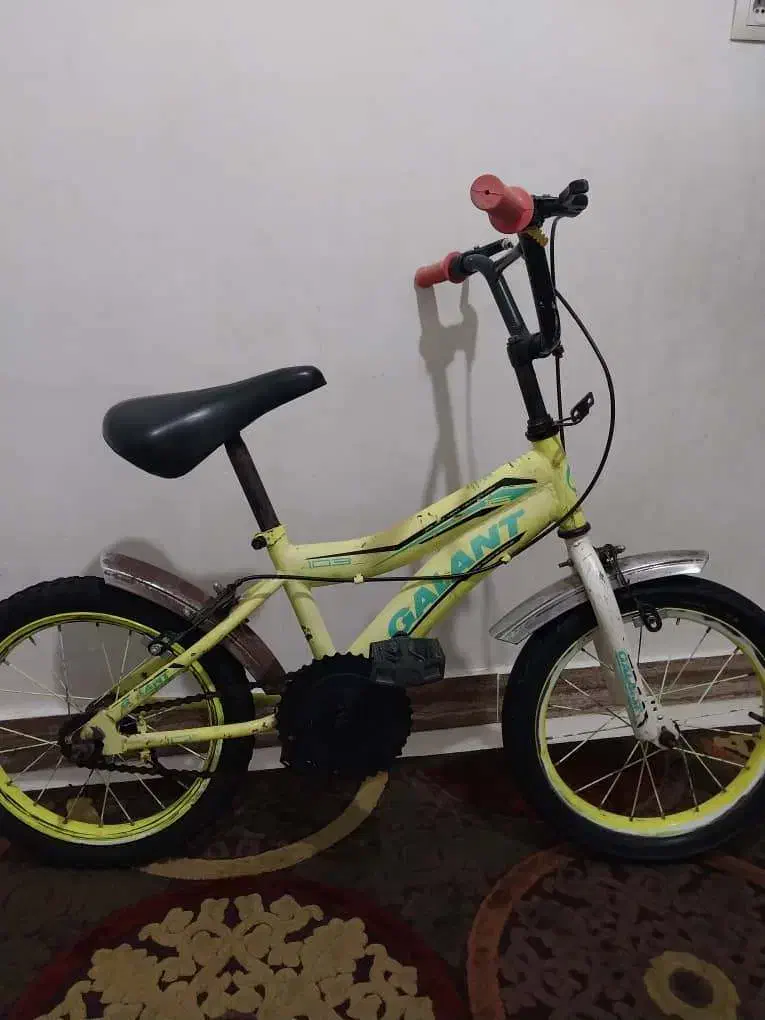 دوچرخه|دوچرخه، اسکیت، اسکوتر|آستانه اشرفیه, |دیوار