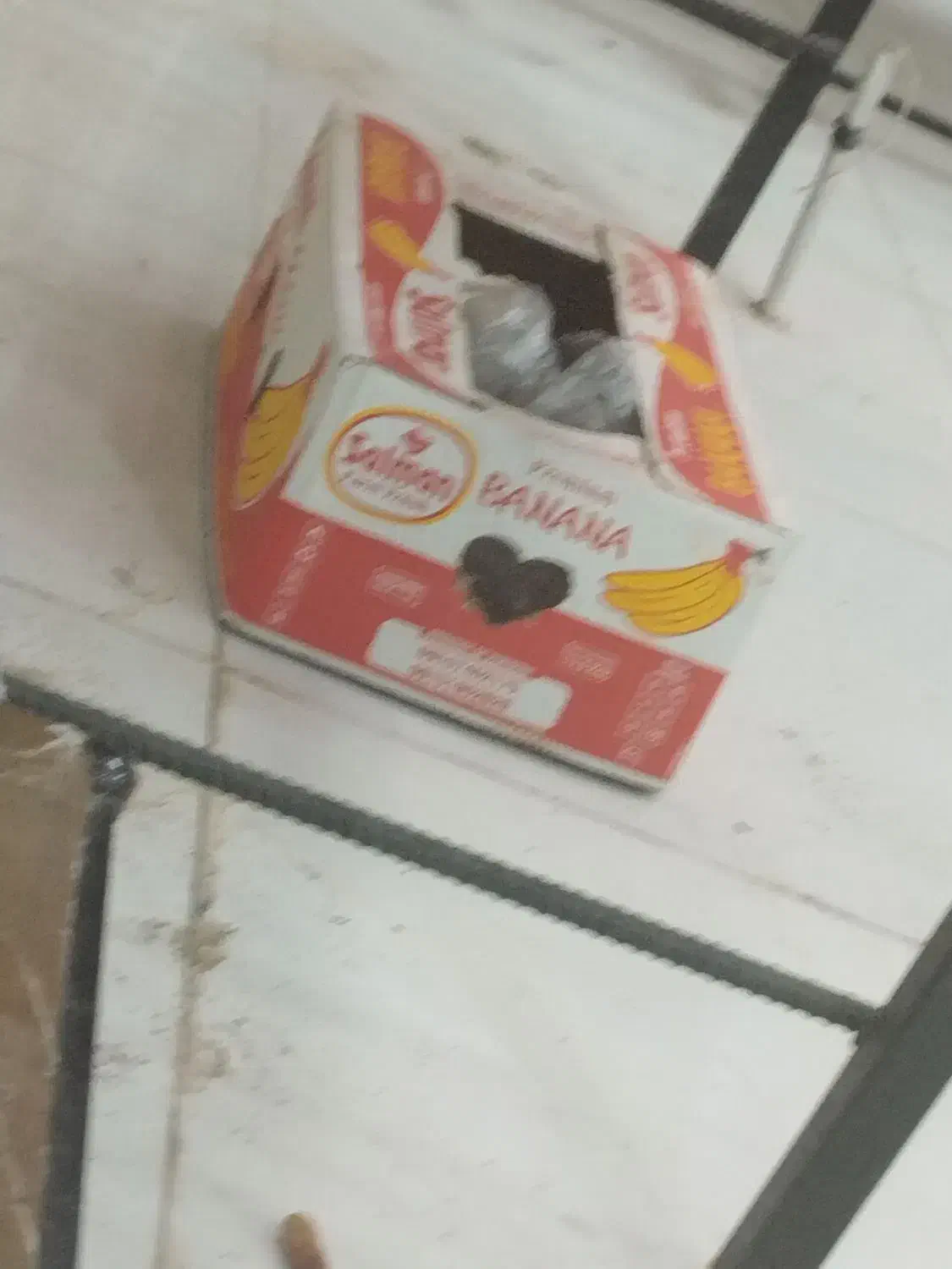 کارتن موز|حراج|زاهدان, |دیوار