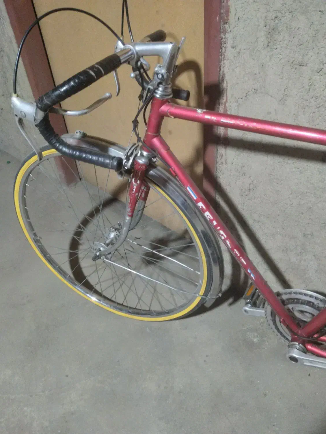 دوچرخه کورسی|دوچرخه، اسکیت، اسکوتر|گرمدره, |دیوار