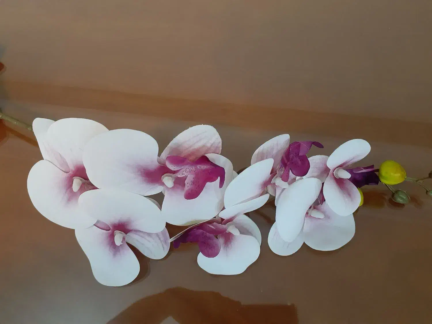 گل مصنوعی|گل مصنوعی|تهران, تهرانپارس غربی|دیوار