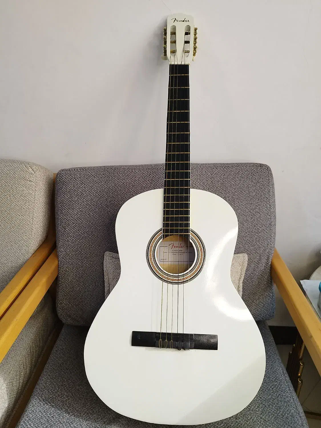 گیتار فندر کلاسیک|گیتار، بیس، امپلیفایر|فشاپویه, |دیوار