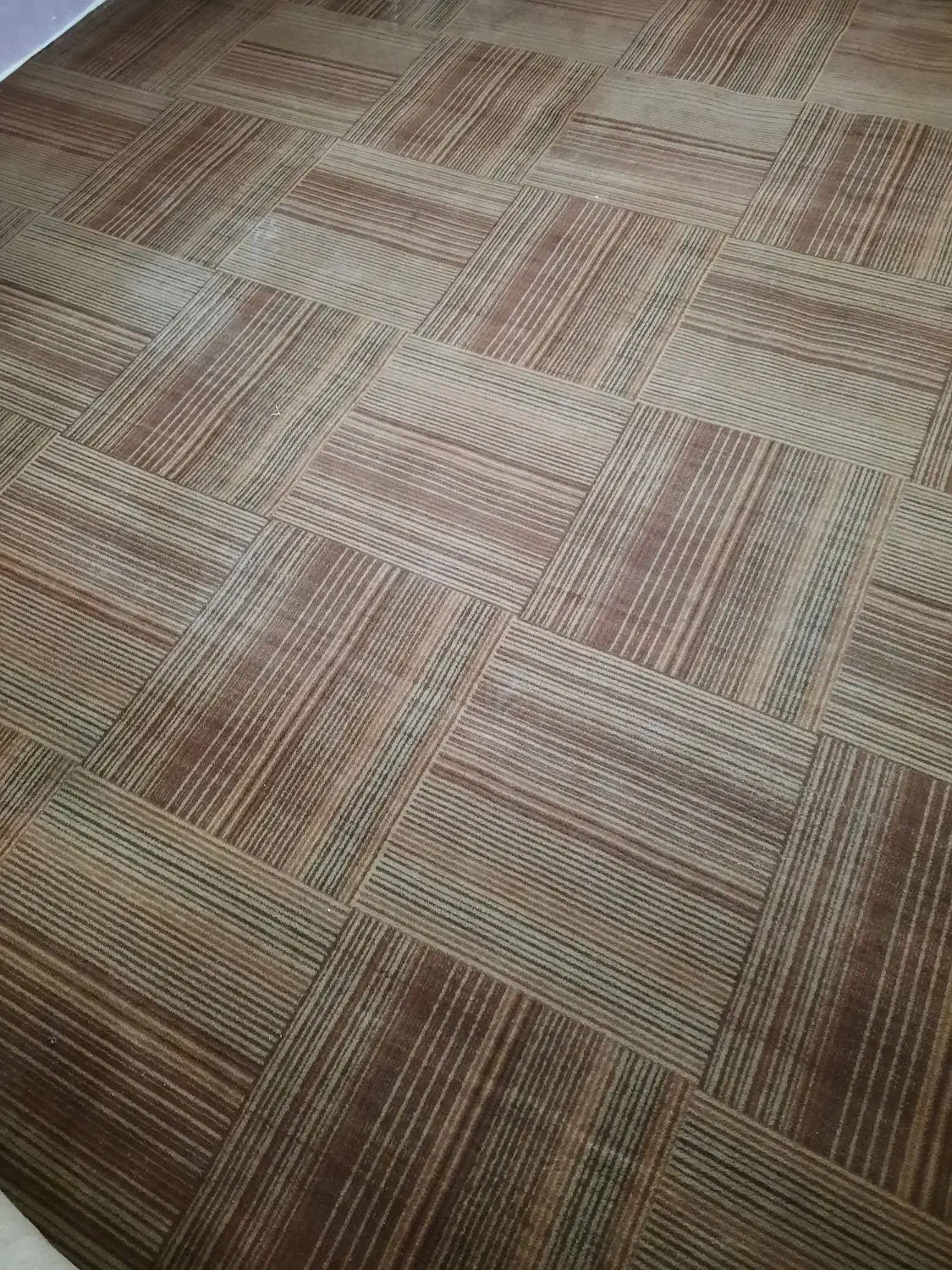 موکت ۱۲ متری|موکت|اردبیل, |دیوار