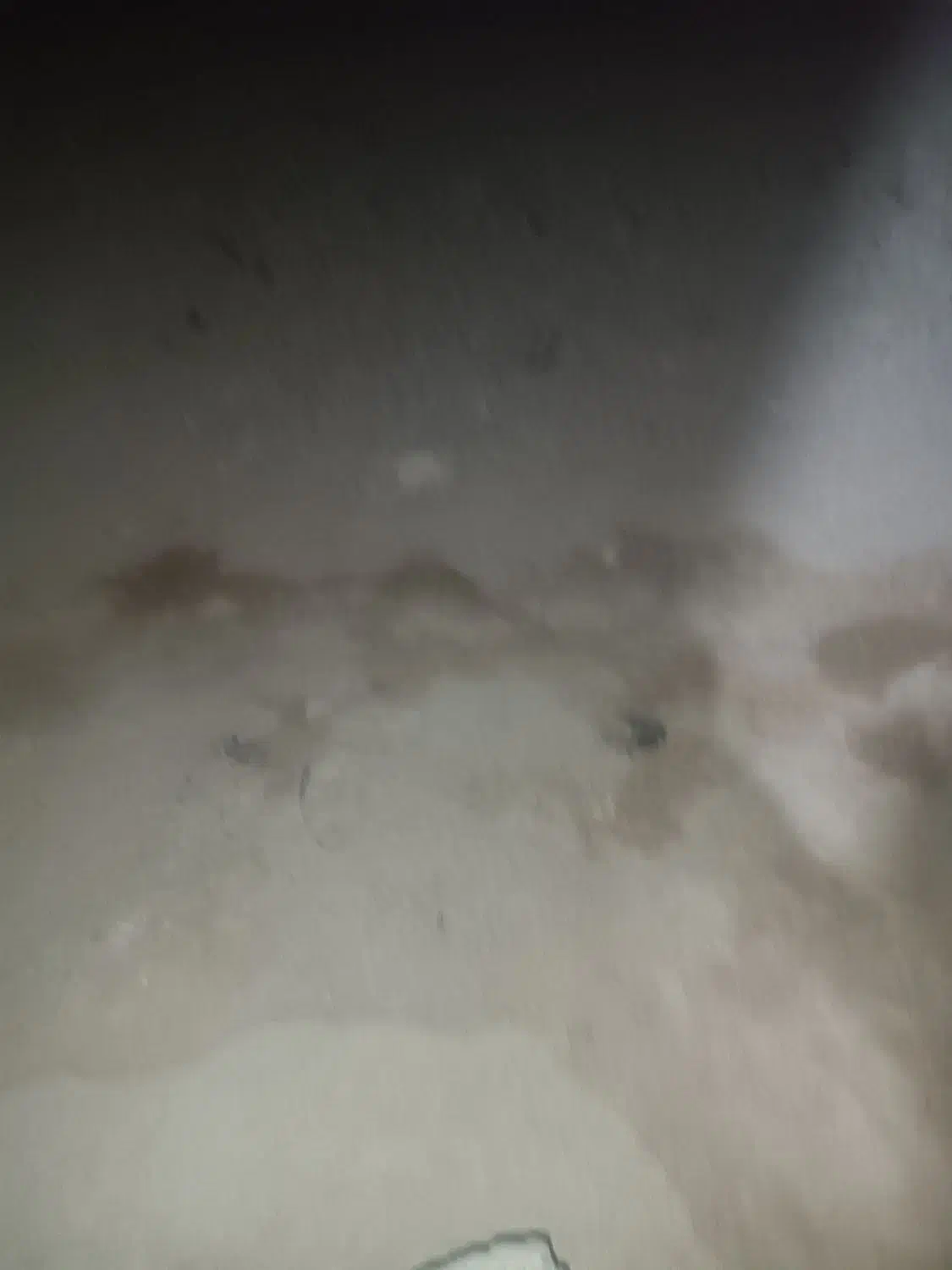 فروش زمین اولی جنوبی|فروش زمین و ملک کلنگی|بندر دیر, |دیوار