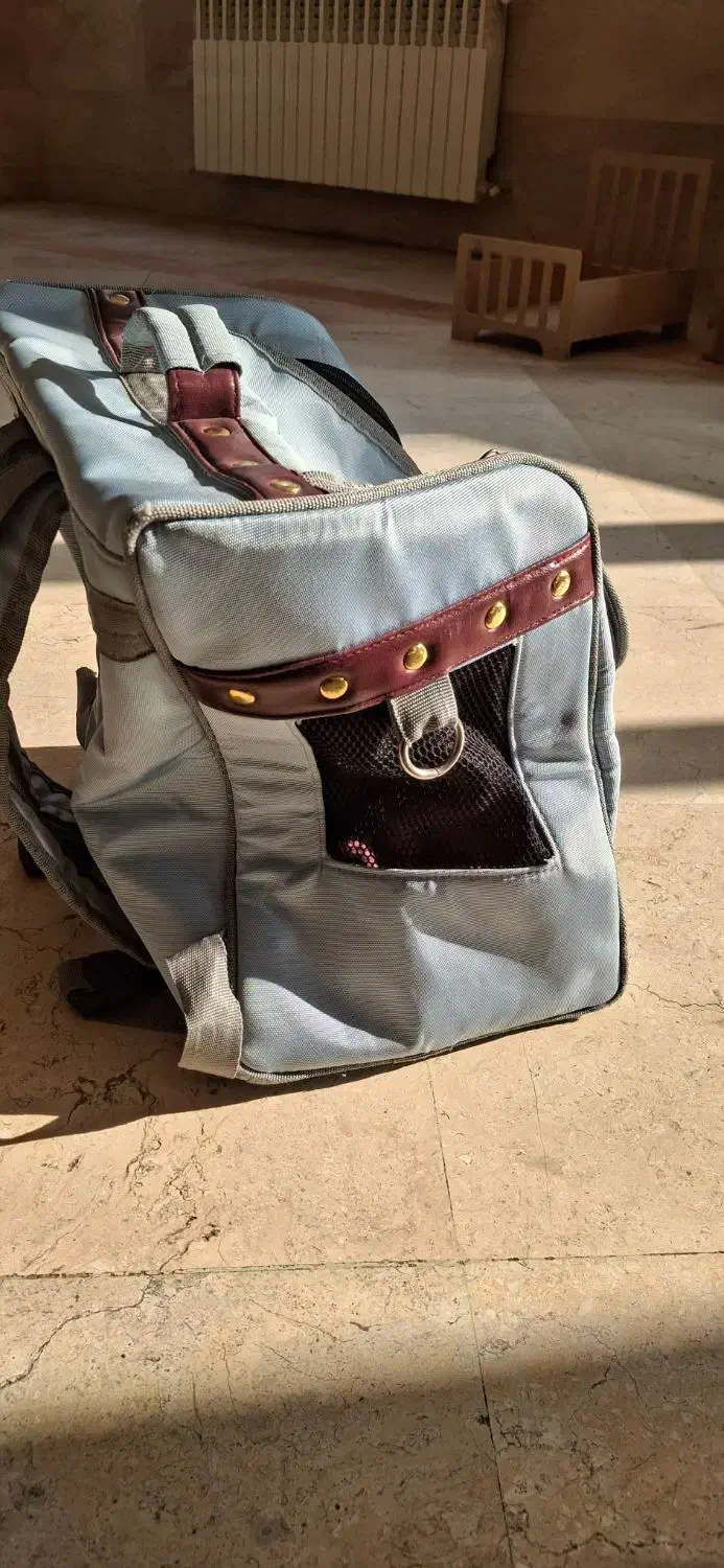 کوله حمل حیوان|لوازم جانبی حیوانات|تهران, شهرک مخابرات|دیوار