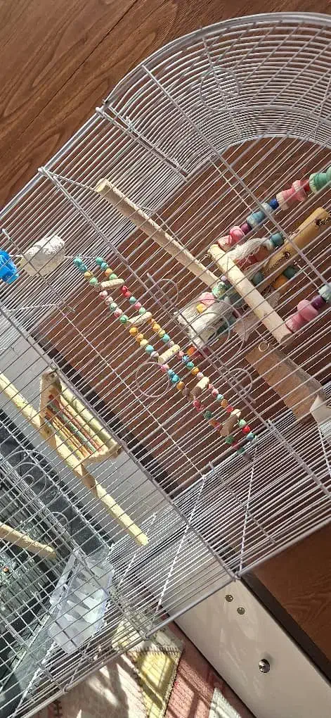 قفس پرنده|لوازم جانبی حیوانات|فردیس, نگارستان|دیوار