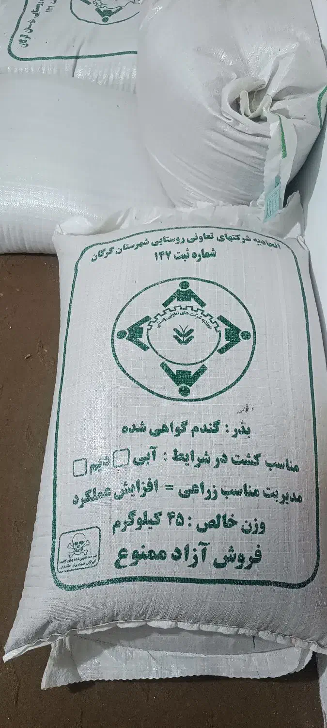 گندم کالاکتور|عمده‌فروشی|گرگان, |دیوار