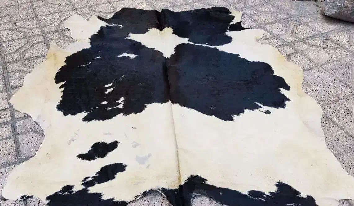 پوست تزیینی گاو|فرش|مشهد, هنرستان|دیوار