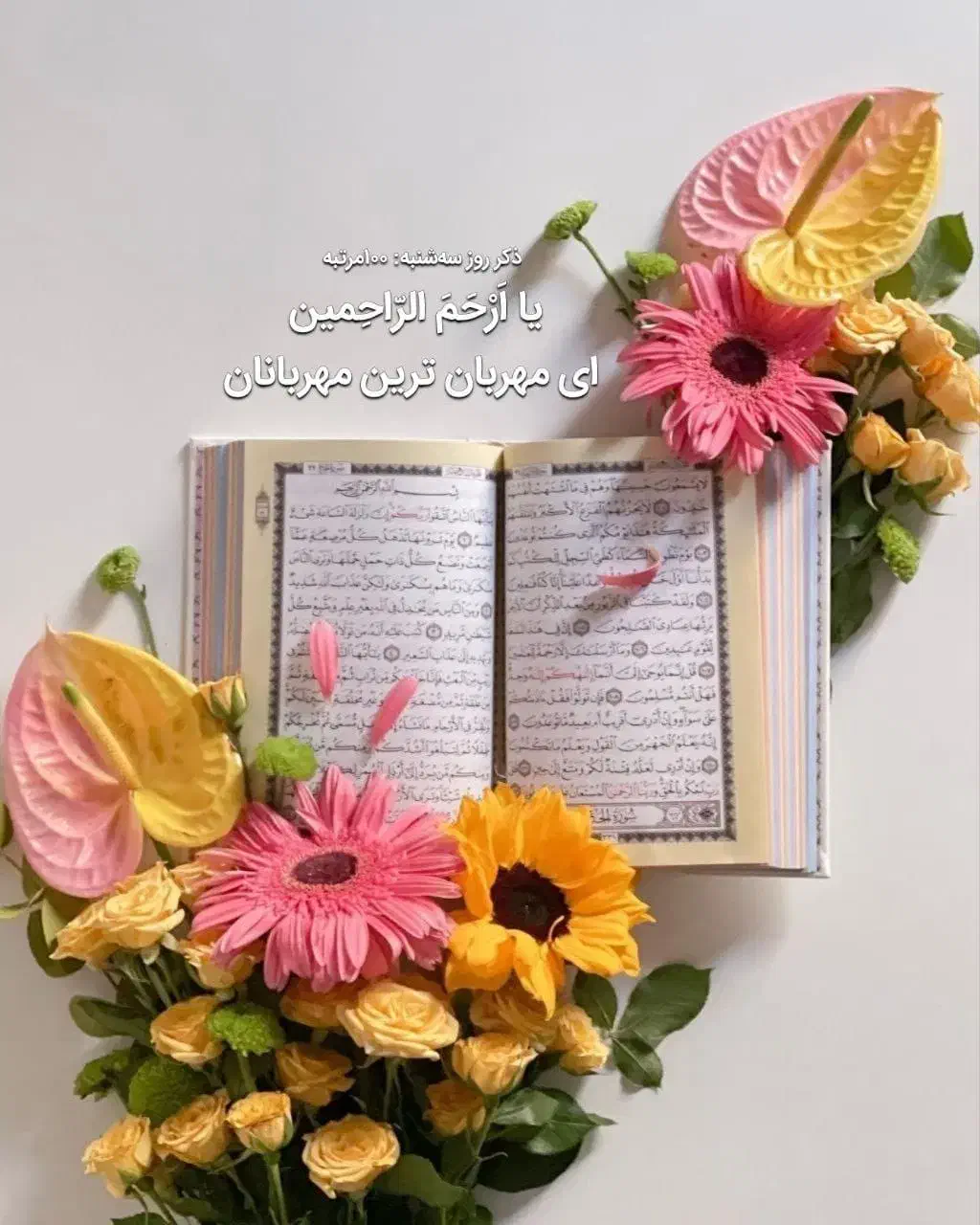 وام|فعالیت داوطلبانه تحقیقاتی|دزفول, |دیوار