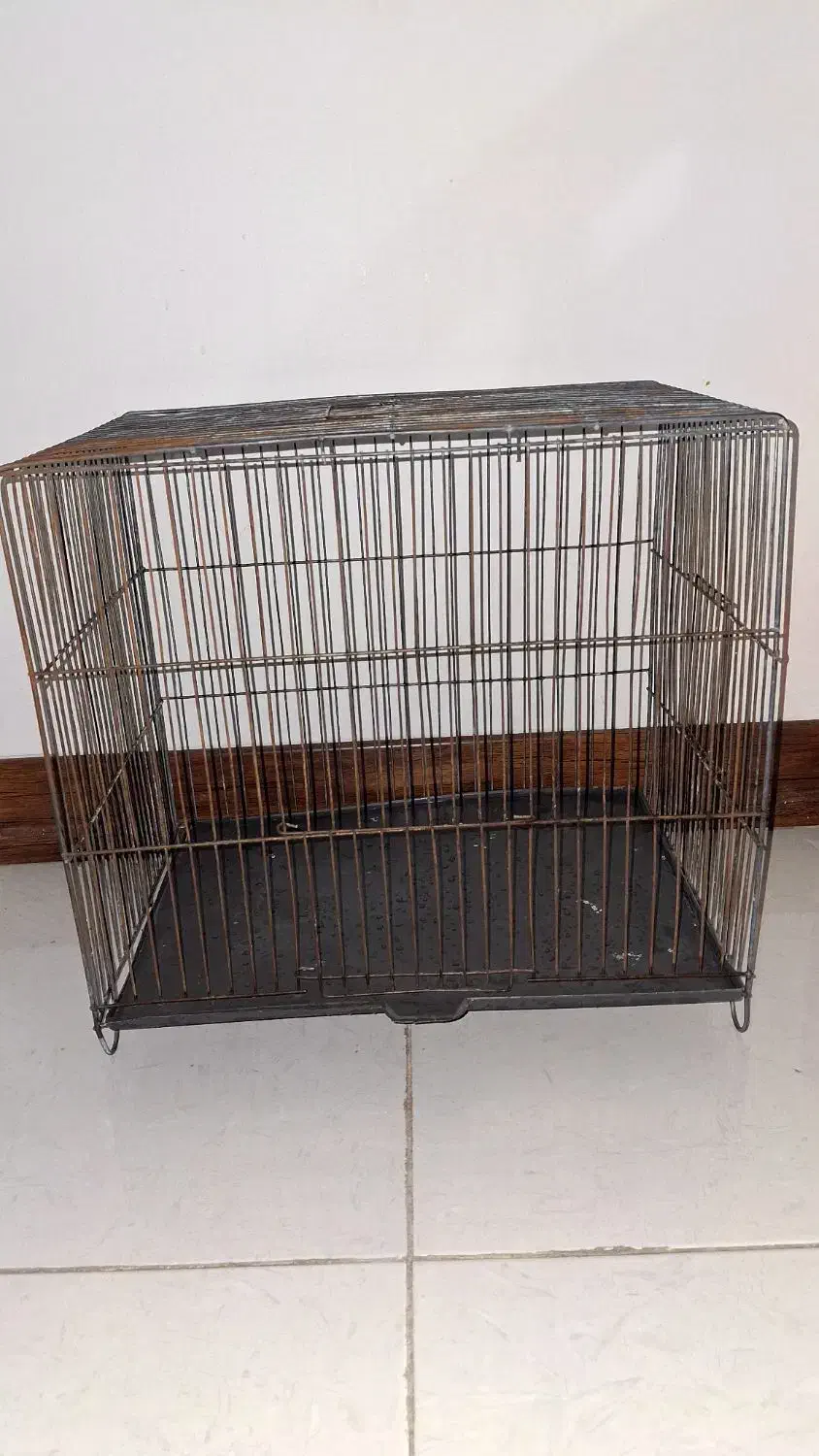 قفس پرنده لوازم جانبی هم موجود هست|لوازم جانبی حیوانات|تهران, امام زاده عبدالله|دیوار