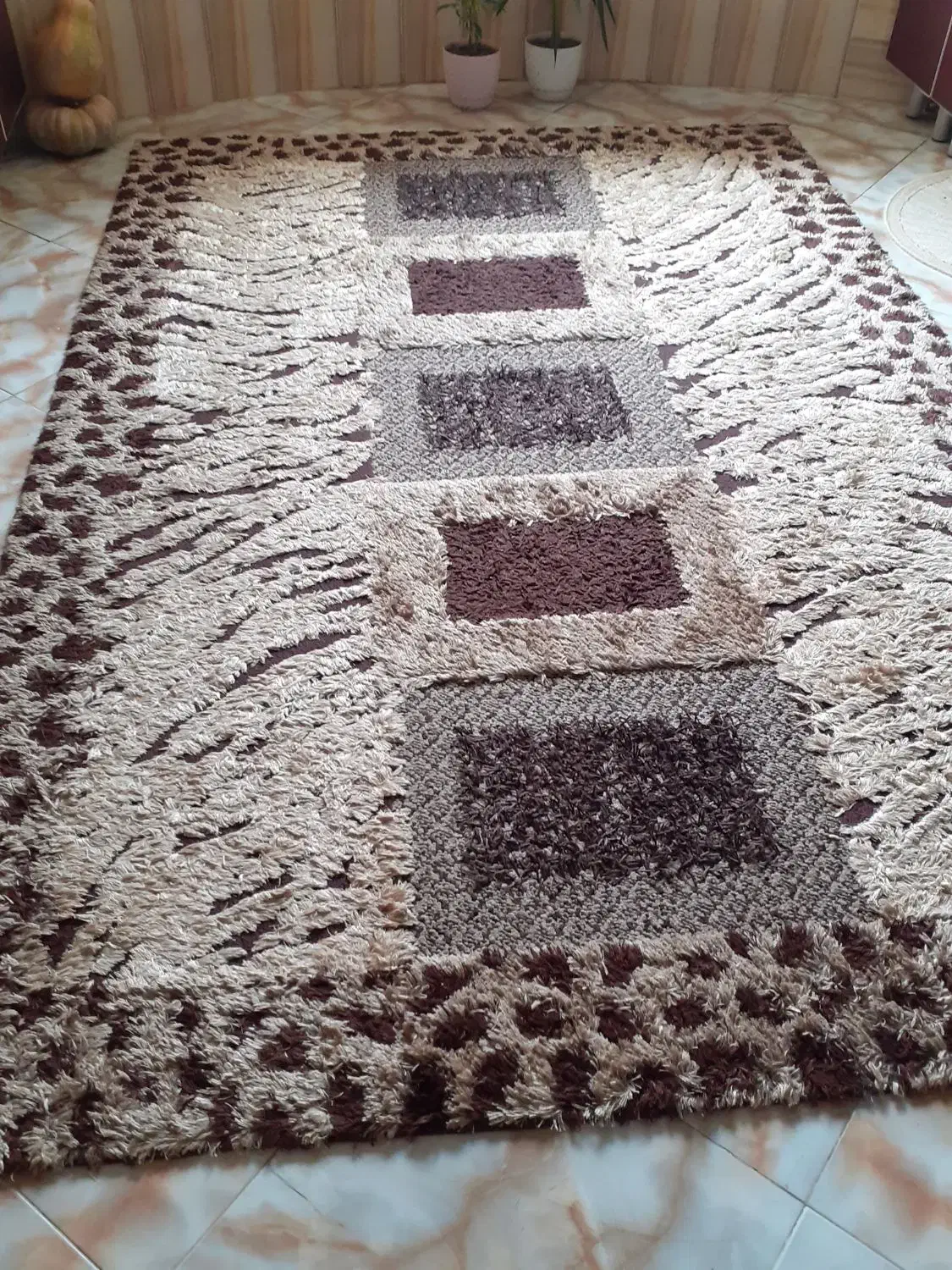 فرش گلیم شیک|گلیم، جاجیم، گبه|رودسر, |دیوار