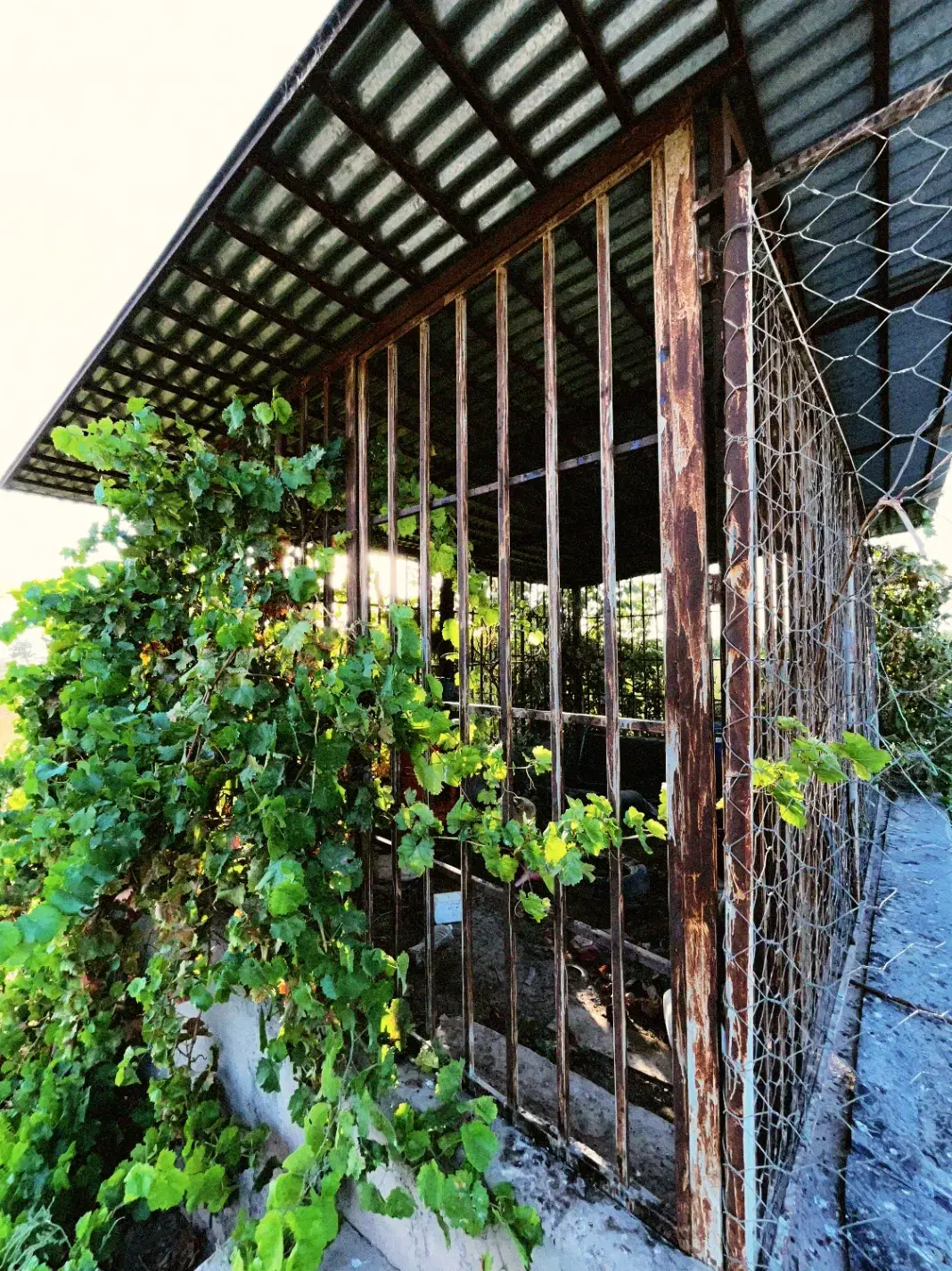 ۲.۷ هکتار زمین کشاورزی/باغی، پلیس‌راه|فروش زمین و ملک کلنگی|نیشابور, فضل|دیوار