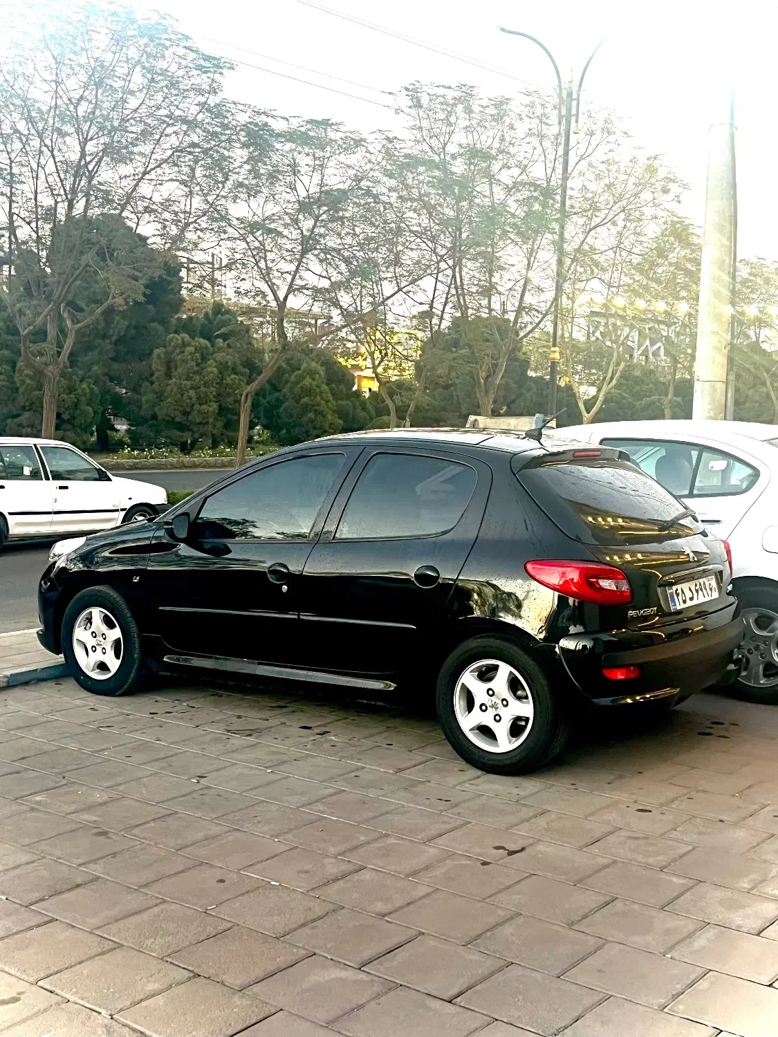 207پانا مدل1401|خودرو سواری و وانت|کاشان, دشت چال|دیوار