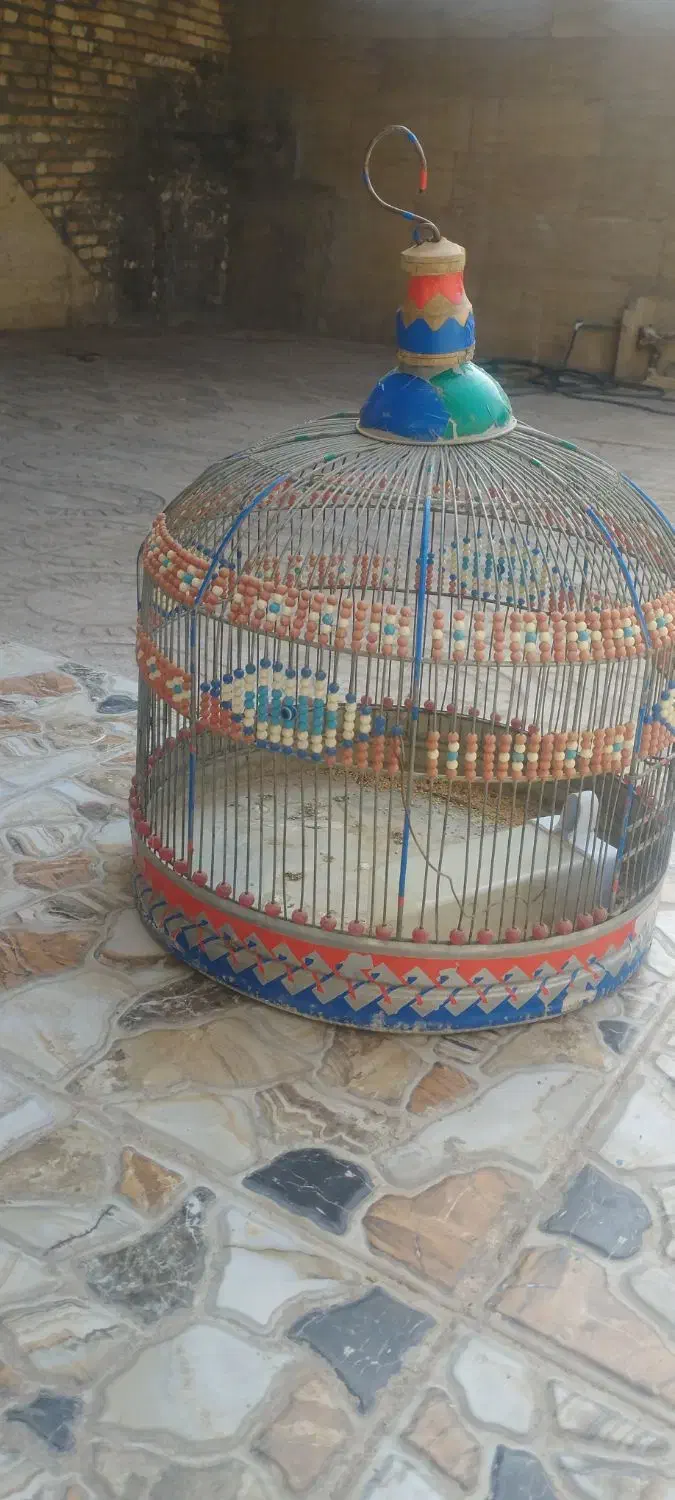 قفس|لوازم جانبی حیوانات|کوهدشت, |دیوار