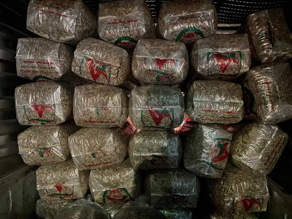 تخمه کدو آجیل چهار مغز خرما کشمش بادوم زمینی پخش|عمده‌فروشی|رباط‌کریم, نصیرشهر|دیوار