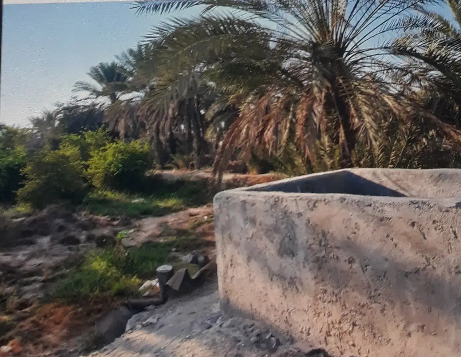 فروش زمین|فروش زمین و ملک کلنگی|بند زرک, |دیوار