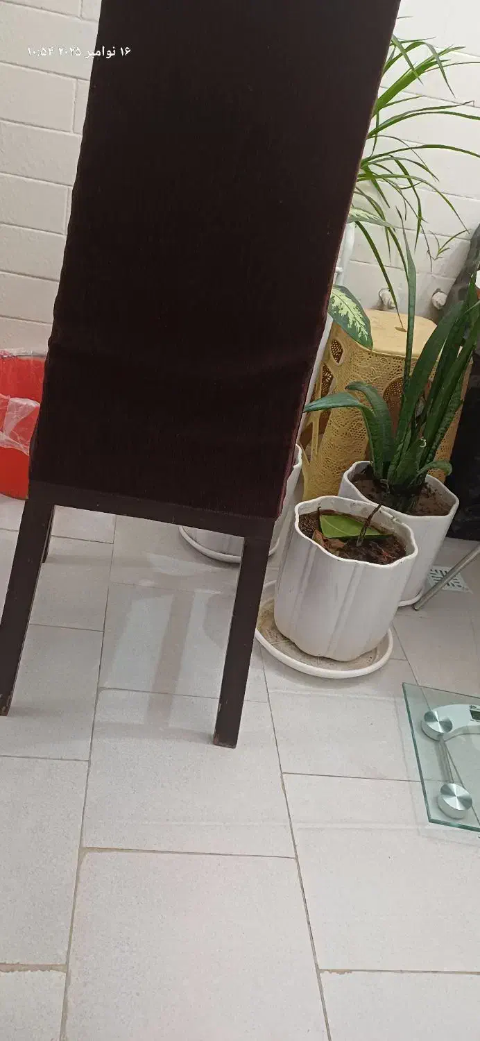 فروش صندلی|میز و صندلی غذاخوری|ایذه, |دیوار