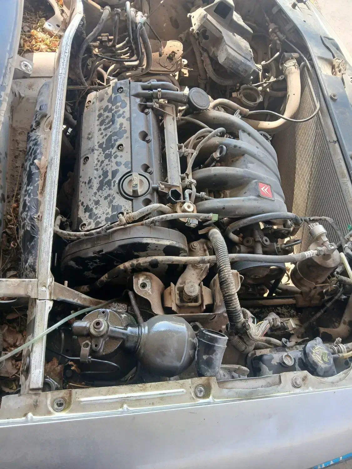 لوازم زانتیا نقره ای،۲۰۶ ، و پژو ۵۰۴|قطعات یدکی و لوازم جانبی|کرمان, |دیوار