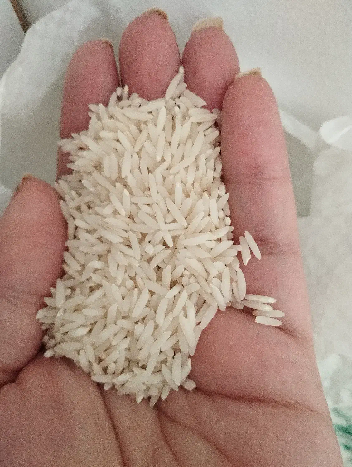 برنج هاشمی سورتینگ شده|خوردنی و آشامیدنی|بندر انزلی, چهارفریضه|دیوار