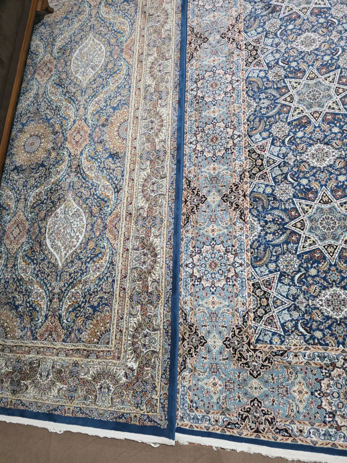 فرش خانگی|فرش|زاهدان, |دیوار