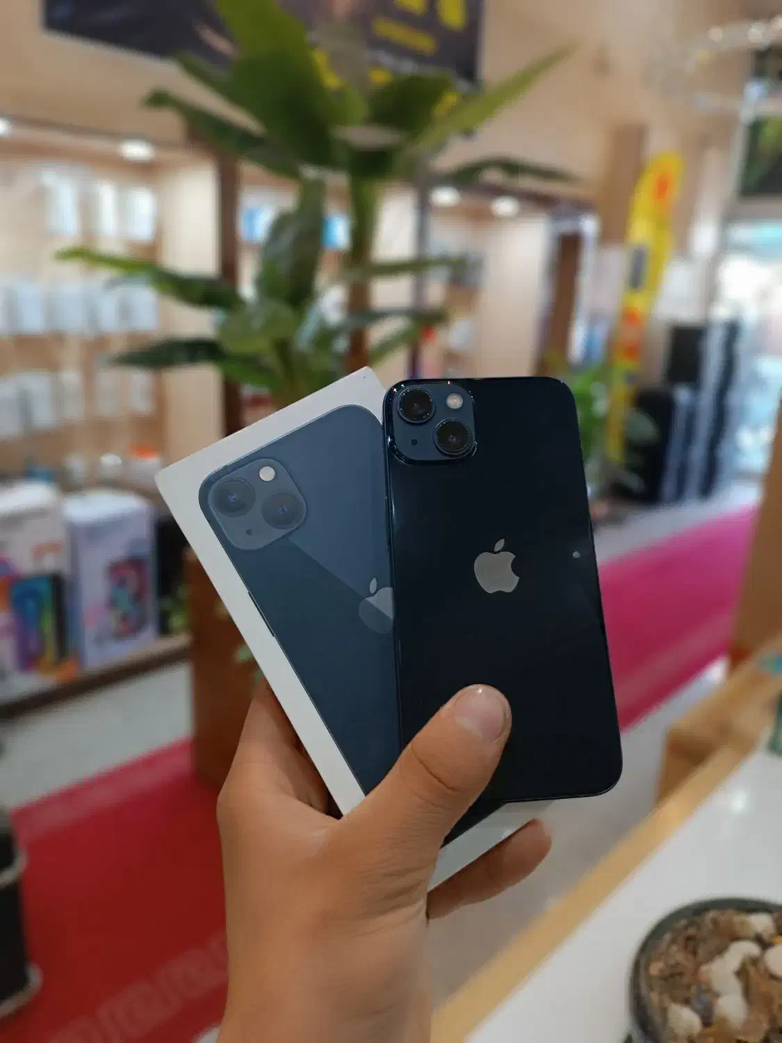 256گیگ آیفون 13|موبایل|یزد, |دیوار